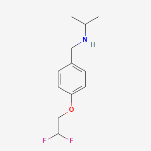 molecular formula C12H17F2NO B1443383 [4-(2,2-Difluoroethoxy)benzyl]isopropylamine CAS No. 1179092-12-6