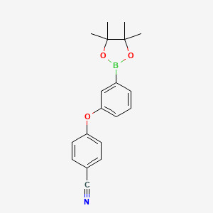 molecular formula C19H20BNO3 B1443676 4-[3-(Tetramethyl-1,3,2-dioxaborolan-2-yl)phenoxy]benzonitrile CAS No. 2096998-25-1