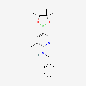 molecular formula C19H25BN2O2 B1443686 N-苄基-3-甲基-5-(4,4,5,5-四甲基-1,3,2-二恶杂硼环-2-基)吡啶-2-胺 CAS No. 1402238-38-3