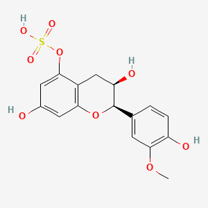 3'-Methylepicatechin-5-sulfate