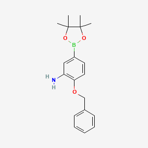 molecular formula C19H24BNO3 B1443779 2-(Benzyloxy)-5-(4,4,5,5-tetramethyl-1,3,2-dioxaborolan-2-yl)aniline CAS No. 1220715-96-7