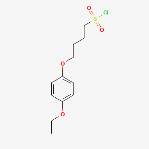 molecular formula C12H17ClO4S B1443893 4-(4-Ethoxyphenoxy)butane-1-sulfonyl chloride CAS No. 1341795-95-6
