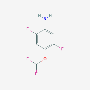 molecular formula C7H5F4NO B1443898 4-(Difluoromethoxy)-2,5-difluoroaniline CAS No. 1341923-15-6