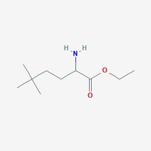 molecular formula C10H21NO2 B1443995 Ethyl 2-amino-5,5-dimethylhexanoate CAS No. 1341792-94-6