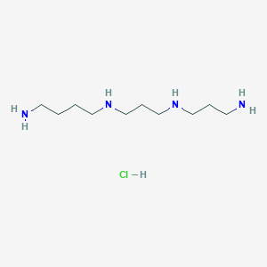 B1444179 N1-(3-((3-Aminopropyl)amino)propyl)butane-1,4-diamine hydrochloride CAS No. 1255099-40-1