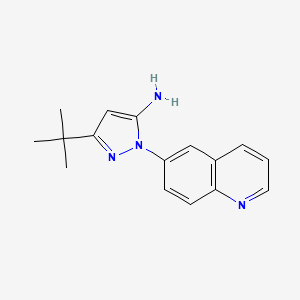 molecular formula C16H18N4 B1444353 3-(tert-Butyl)-1-(quinolin-6-yl)-1H-pyrazol-5-amine CAS No. 897373-62-5