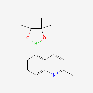 molecular formula C16H20BNO2 B1444557 2-甲基-5-(4,4,5,5-四甲基-1,3,2-二氧杂硼烷-2-基)喹啉 CAS No. 876922-75-7