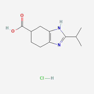 molecular formula C11H17ClN2O2 B1444588 2-Isopropyl-4,5,6,7-tetrahydro-1H-benzo[d]imidazole-6-carboxylic acid hydrochloride CAS No. 1004529-30-9