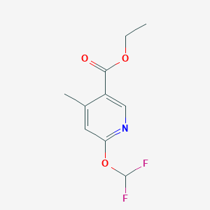 3-Pyridinecarboxylic acid, 6-(difluoromethoxy)-4-methyl-, ethyl ester