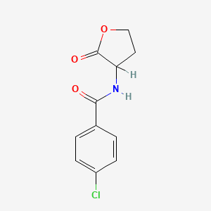 molecular formula C11H10ClNO3 B14449620 p-Chloro-N-(2-oxotetrahydro-3-furyl)benzamide CAS No. 77694-33-8