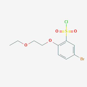 5-Bromo-2-(2-ethoxyethoxy)benzene-1-sulfonyl chloride