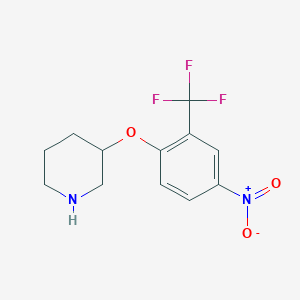 molecular formula C12H13F3N2O3 B1445039 3-(4-Nitro-2-trifluoromethylphenoxy)-piperidine CAS No. 1456044-54-4
