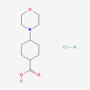 molecular formula C11H20ClNO3 B1445438 4-(Morpholin-4-yl)cyclohexane-1-carboxylic acid hydrochloride CAS No. 1803585-30-9