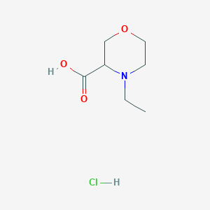 molecular formula C7H14ClNO3 B1445704 4-Ethylmorpholine-3-carboxylic acid hydrochloride CAS No. 1427378-51-5