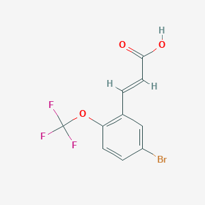 molecular formula C10H6BrF3O3 B1445732 3-(5-Bromo-2-(trifluoromethoxy)phenyl)acrylic acid CAS No. 1381952-88-0