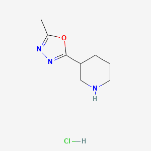 molecular formula C8H14ClN3O B1445784 3-(5-Methyl-1,3,4-oxadiazol-2-yl)piperidine hydrochloride CAS No. 1779125-37-9