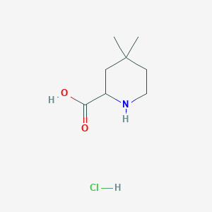 molecular formula C8H16ClNO2 B1445825 4,4-二甲基哌啶-2-羧酸盐酸盐 CAS No. 1803560-90-8