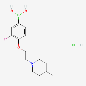 molecular formula C14H22BClFNO3 B1446138 (3-Fluoro-4-(2-(4-methylpiperidin-1-yl)ethoxy)phenyl)boronic acid hydrochloride CAS No. 1704095-74-8