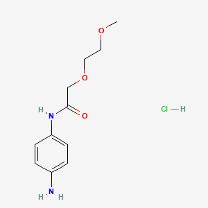 molecular formula C11H17ClN2O3 B1446149 Acetamide, N-(4-aminophenyl)-2-(2-methoxyethoxy)-, hydrochloride CAS No. 1586686-20-5