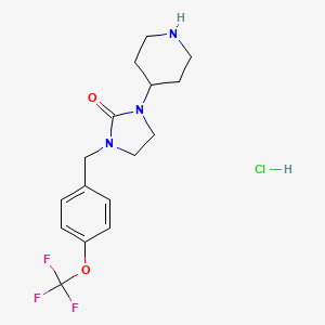 molecular formula C16H21ClF3N3O2 B1446218 1-Piperidin-4-yl-3-(4-trifluoromethoxy-benzyl)-imidazolidin-2-one Hydrochloride CAS No. 2206135-61-5
