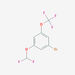 molecular formula C8H4BrF5O2 B1446263 1-Bromo-3-difluoromethoxy-5-(trifluoromethoxy)benzene CAS No. 1805593-45-6