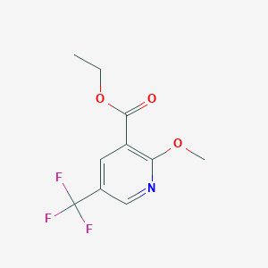 molecular formula C10H10F3NO3 B1446274 Ethyl 2-methoxy-5-(trifluoromethyl)nicotinate CAS No. 1227604-63-8