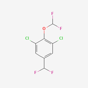 3,5-Dichloro-4-(difluoromethoxy)benzodifluoride