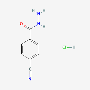 molecular formula C8H8ClN3O B1446324 4-氰基苯甲酰肼盐酸盐 CAS No. 1865223-60-4