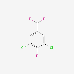 molecular formula C7H3Cl2F3 B1446333 3,5-Dichloro-4-fluorobenzodifluoride CAS No. 1807053-11-7