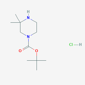 molecular formula C11H23ClN2O2 B1446443 tert-Butyl 3,3-dimethylpiperazine-1-carboxylate hydrochloride CAS No. 1187931-03-8