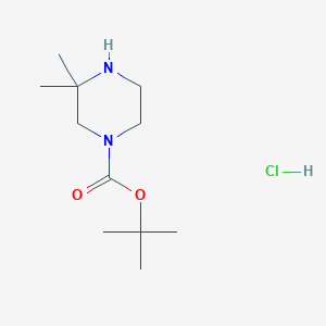 tert-Butyl 3,3-dimethylpiperazine-1-carboxylate hydrochloride