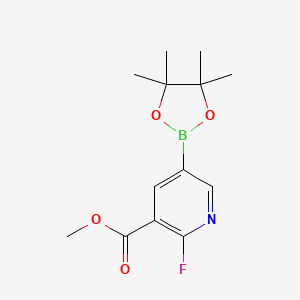 molecular formula C13H17BFNO4 B1446461 Methyl 2-fluoro-5-(tetramethyl-1,3,2-dioxaborolan-2-yl)pyridine-3-carboxylate CAS No. 1622217-20-2