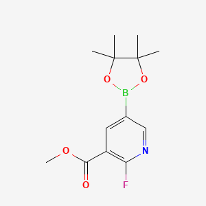 molecular formula C13H17BFNO4 B1446461 2-氟-5-（四甲基-1,3,2-二氧杂硼环-2-基）吡啶-3-甲酸甲酯 CAS No. 1622217-20-2