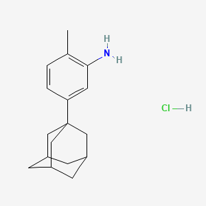 molecular formula C17H24ClN B1446580 [5-(1-Adamantyl)-2-methylphenyl]amine hydrochloride CAS No. 59974-07-1