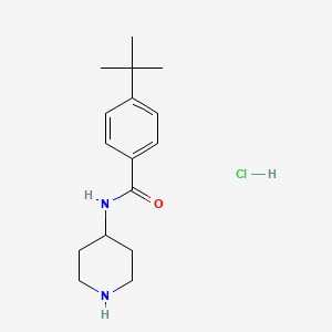 molecular formula C16H25ClN2O B1446585 4-tert-butyl-N-piperidin-4-ylbenzamide hydrochloride CAS No. 1638612-58-4