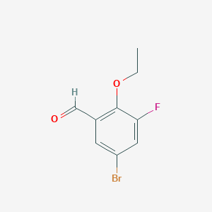 molecular formula C9H8BrFO2 B1446685 5-Bromo-2-ethoxy-3-fluorobenzaldehyde CAS No. 1823336-00-0