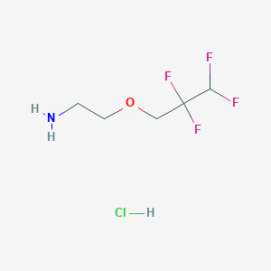 molecular formula C5H10ClF4NO B1446941 2-(2,2,3,3-Tetrafluoropropoxy)ethan-1-amine hydrochloride CAS No. 1803607-46-6