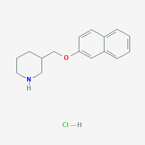 molecular formula C16H20ClNO B1446973 3-[(2-萘氧基)甲基]哌啶盐酸盐 CAS No. 1706435-72-4