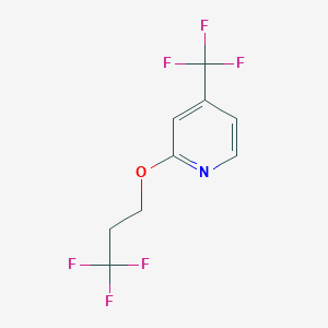molecular formula C9H7F6NO B1446976 4-(Trifluoromethyl)-2-(3,3,3-trifluoropropoxy)pyridine CAS No. 1774897-94-7