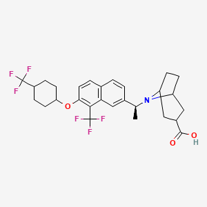 molecular formula C28H31F6NO3 B1447072 8-((S)-1-(8-(trifluoromethyl)-7-((1s,4R)-4-(trifluoromethyl)cyclohexyloxy)naphthalen-2-yl)ethyl)-8-azabicyclo[3.2.1]octane-3-carboxylic acid CAS No. 1548743-66-3