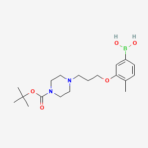 molecular formula C19H31BN2O5 B1447112 3-(3-(4-(叔丁氧羰基)哌嗪-1-基)丙氧基)-4-甲基苯硼酸 CAS No. 1704064-33-4