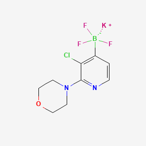 molecular formula C9H10BClF3KN2O B1447116 三氟硼酸钾(3-氯-2-吗啉代吡啶-4-基) CAS No. 1704704-32-4