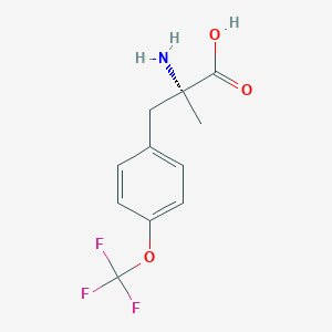 molecular formula C11H12F3NO3 B1447250 (R)-alpha-Methyl-4-(trifluoromethoxy)phenylalaine CAS No. 1269835-58-6