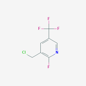 molecular formula C7H4ClF4N B1447277 3-Chloromethyl-2-fluoro-5-(trifluoromethyl)pyridine CAS No. 1227561-85-4