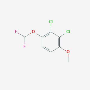 molecular formula C8H6Cl2F2O2 B1447350 2,3-Dichloro-4-(difluoromethoxy)anisole CAS No. 1804515-97-6