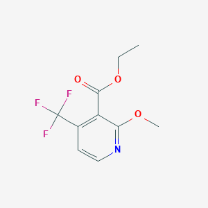 molecular formula C10H10F3NO3 B1447375 Ethyl 2-methoxy-4-(trifluoromethyl)nicotinate CAS No. 1227604-45-6