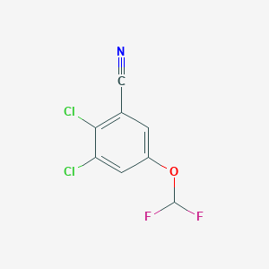 molecular formula C8H3Cl2F2NO B1447392 2,3-Dichloro-5-(difluoromethoxy)benzonitrile CAS No. 1806321-54-9