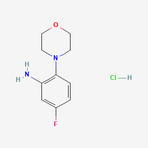 molecular formula C10H14ClFN2O B1447415 5-Fluoro-2-morpholinoaniline hydrochloride CAS No. 1864053-46-2