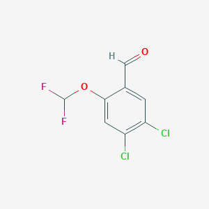 molecular formula C8H4Cl2F2O2 B1447418 4,5-Dichloro-2-(difluoromethoxy)benzaldehyde CAS No. 1803787-21-4