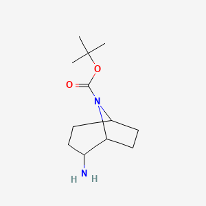 molecular formula C12H22N2O2 B1447456 8-Boc-8-azabicyclo[3.2.1]octan-2-amine CAS No. 1419101-50-0